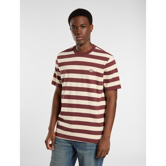 Dickies Rivergrove T Shirt Reguliere Pasvorm Met All Over Horizontale Blokstrepen En Gewoven Dickies Label