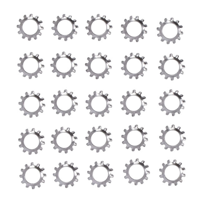 Ss ext. countersunk lockwasher, #6 - 25 pack